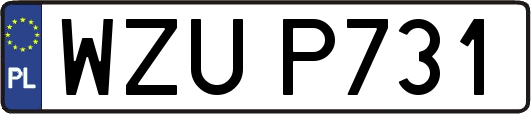 WZUP731