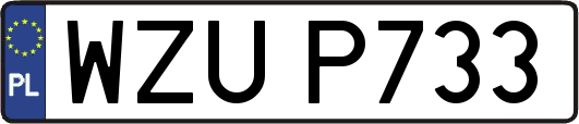 WZUP733