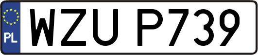WZUP739