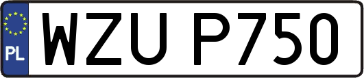 WZUP750