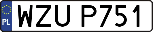 WZUP751