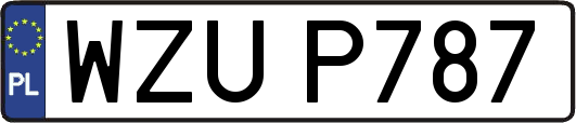 WZUP787