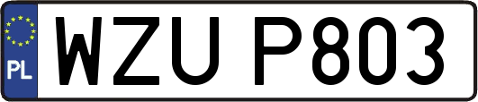 WZUP803