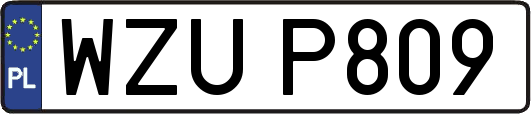 WZUP809