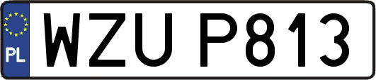 WZUP813