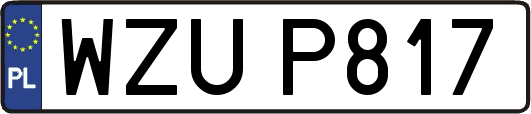 WZUP817