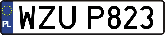 WZUP823
