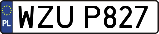 WZUP827