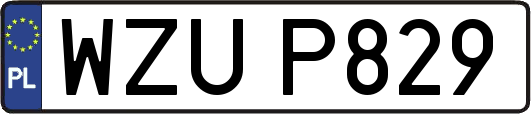 WZUP829