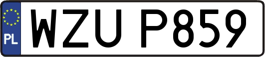 WZUP859