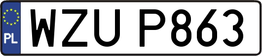 WZUP863