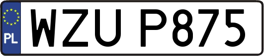 WZUP875