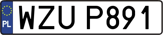 WZUP891