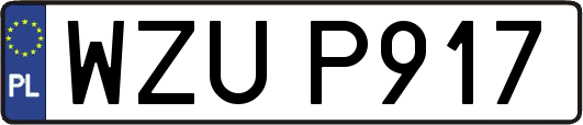 WZUP917