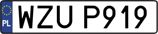 WZUP919