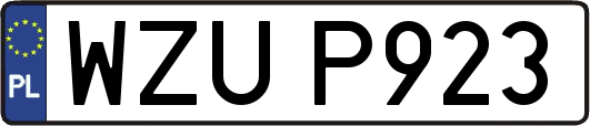 WZUP923