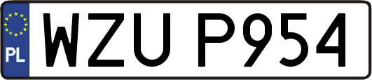 WZUP954