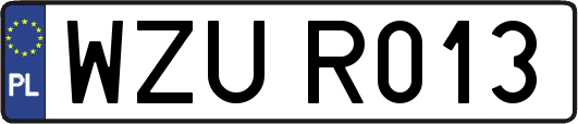 WZUR013