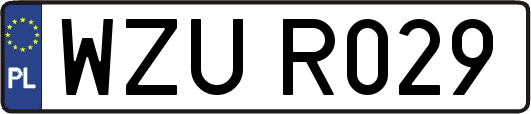 WZUR029