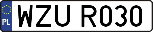 WZUR030