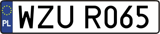 WZUR065