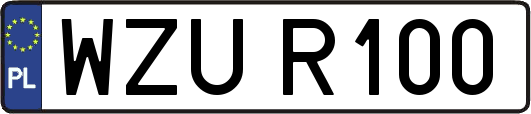 WZUR100