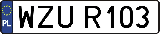 WZUR103
