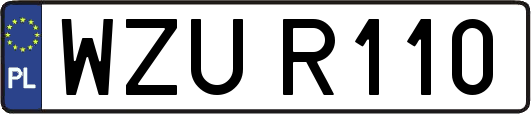 WZUR110