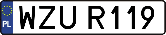 WZUR119