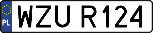 WZUR124