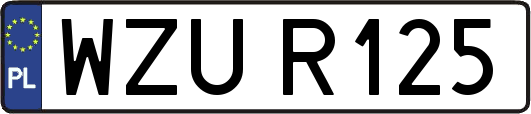 WZUR125