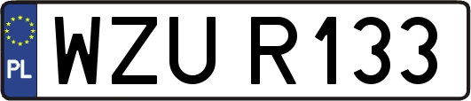 WZUR133