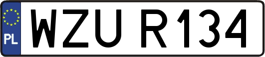 WZUR134