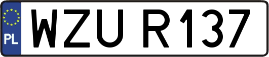 WZUR137