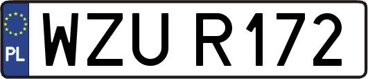 WZUR172