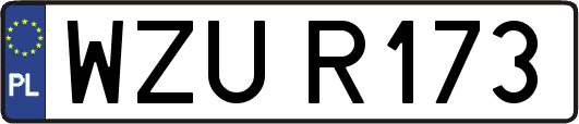 WZUR173