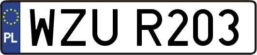 WZUR203