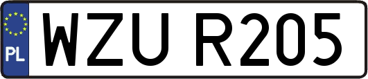 WZUR205