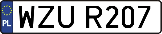 WZUR207