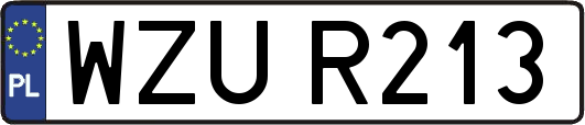 WZUR213