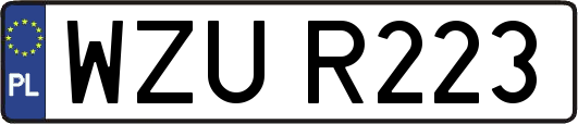 WZUR223
