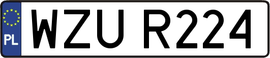 WZUR224
