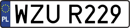 WZUR229