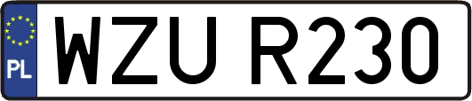 WZUR230