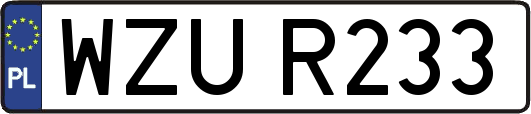 WZUR233