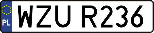 WZUR236