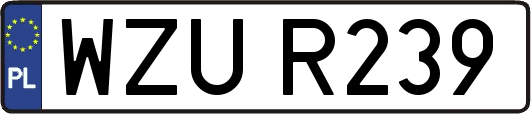 WZUR239