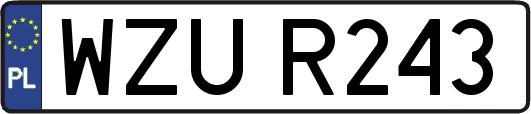 WZUR243