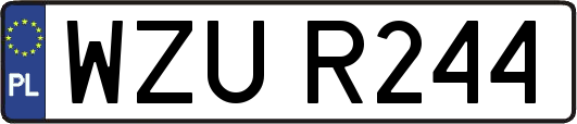 WZUR244