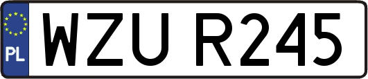 WZUR245
